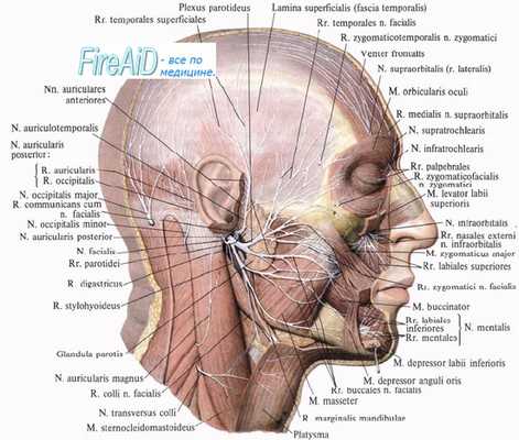 Крик. Художник Э. Мунк