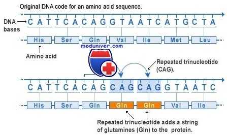 болезни экспансии нестабильных нуклеотидных повторов
