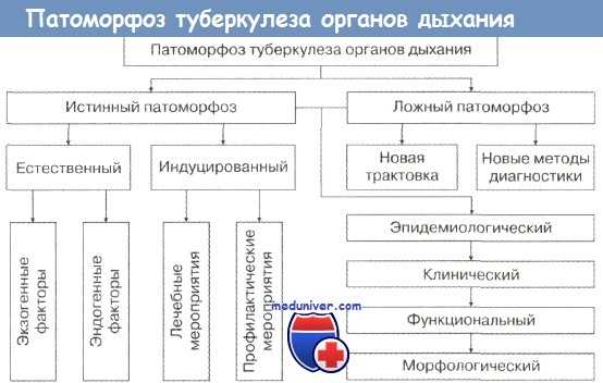 Патоморфоз туберкулеза