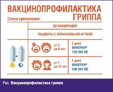 Вакцинопрофилактика гриппа