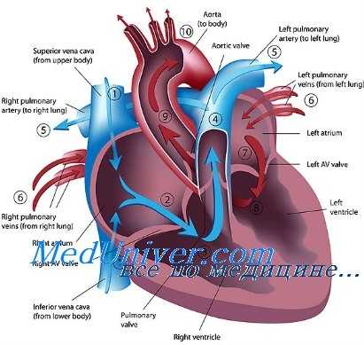 сердечная недостаточность