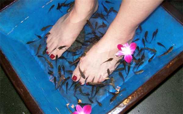 Рыбка-доктор для ступней