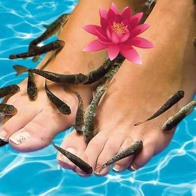 Пилинг ног рыбками Гарра Руфа