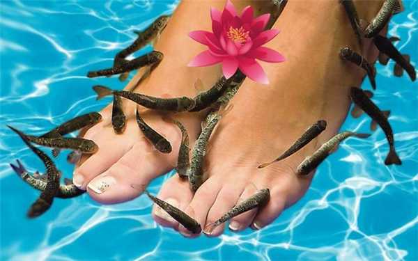 Педикюр с рыбками Гарра Руфа