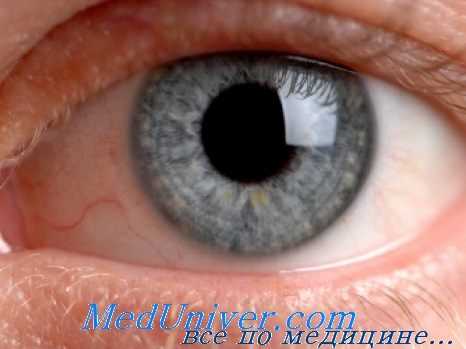 пенетрация глазного яблока