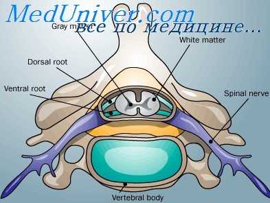 болевое раздражение