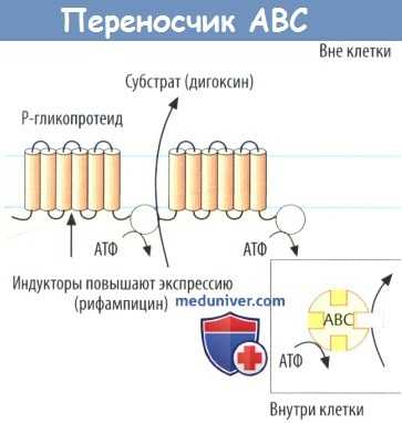 Переносчик АВС