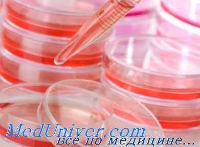 пересадка стволовых клеток