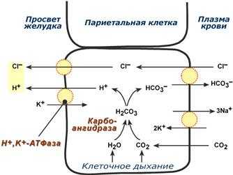 Схема синтеза соляной кислоты