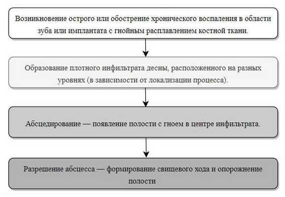 Стадии развития абсцесса 