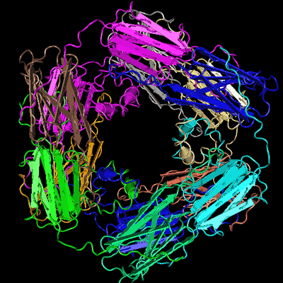 Структура белка-шаперона дрожжей HSP16.9