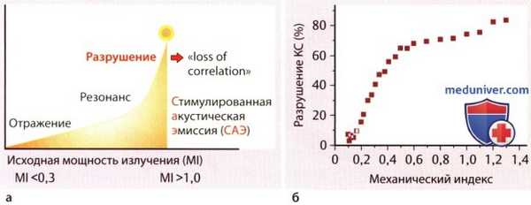 Перспективы применения контрастной эхокардиографии