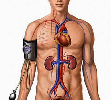 Фото Гипертензия