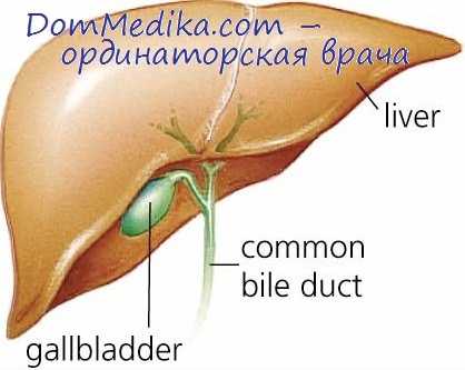 гепатопатии у детей
