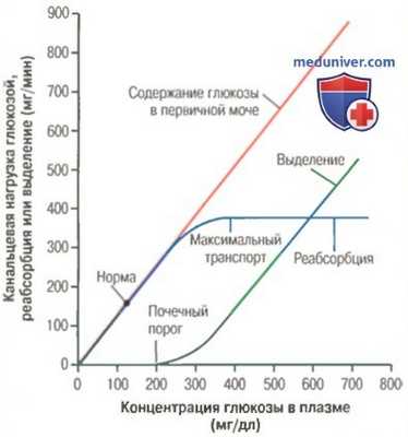 Пиноцитоз. Активно реабсорбируемые вещества в почках