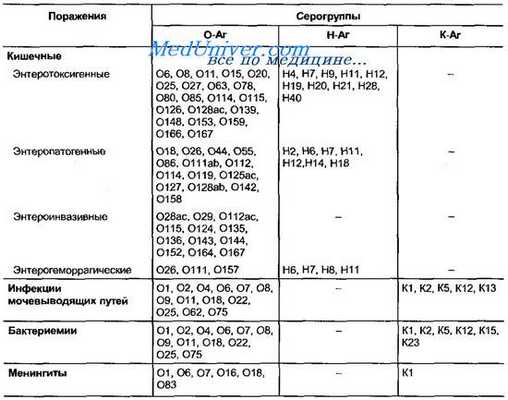 Серовары кишечной палочки - Escherichia coli