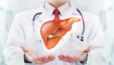 здоровая печень