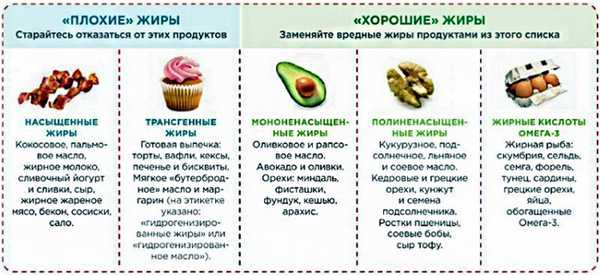 Полезные и не полезные элементы рациона