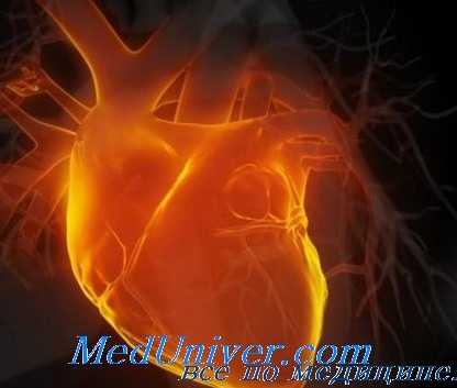 влияние гормонов на миокард