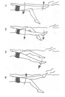 Техника ног при плавании кролем на спине