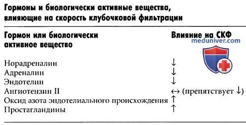 Контроль кровообращения в почках с помощью гормонов и биологически активных веществ