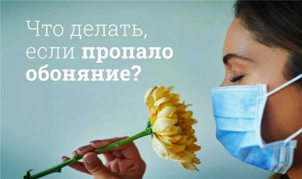 Не чувствую запахи, что делать? 