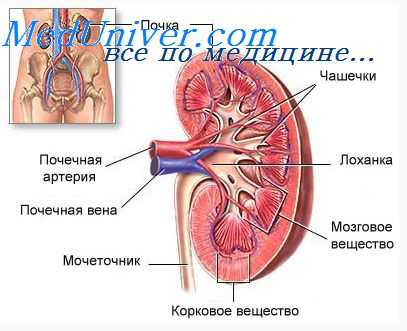 поражения канальцев почек