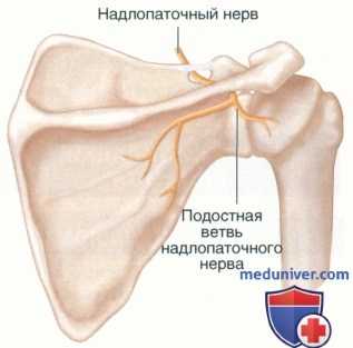 Операция восстановления ротаторной манжеты плеча артроскопической техникой шва