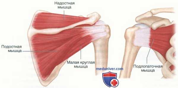 Операция восстановления ротаторной манжеты плеча артроскопической техникой шва