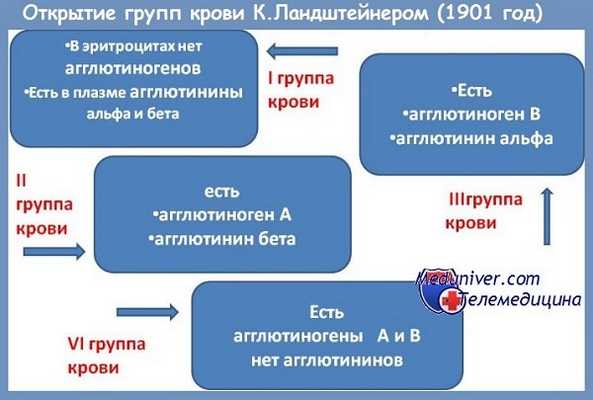 Группы крови по Ландштейнеру