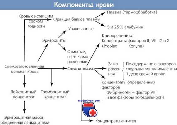 Компоненты крови