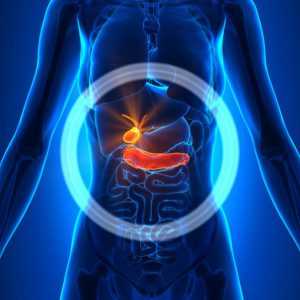 Желчный пузырь