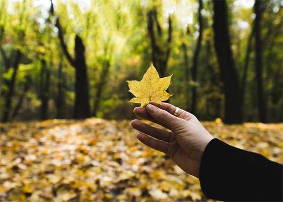 Что такое гештальт и как его закрыть: мнение эксперта
