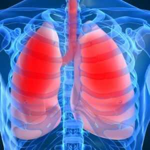 Плевральная полость