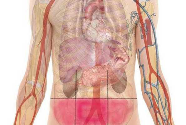 Боль в нижних отделах живота