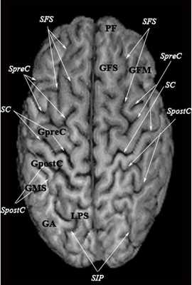 трехмерное