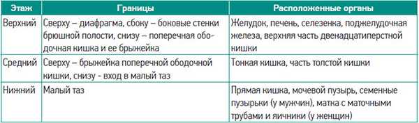 Таблица 1. Этажи брюшной полости