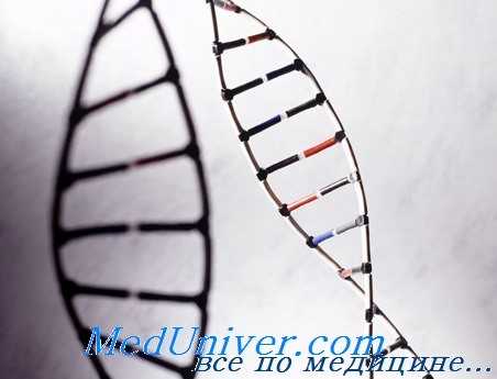 генетический полиморфизм