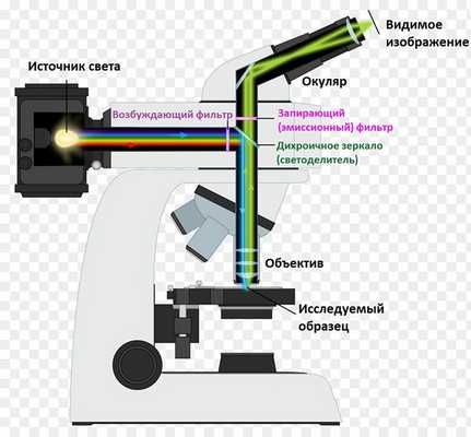 Устройство