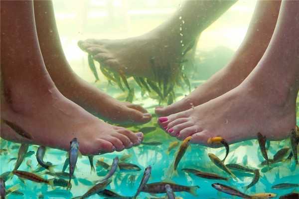 Как обезопасить себя?