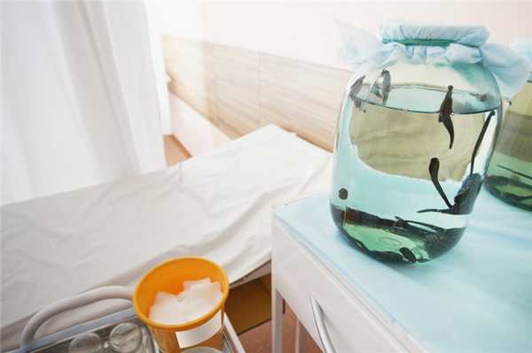 Гирудотерапия в России: историческая справка