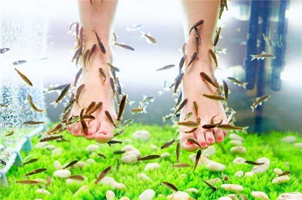 В чем подвох?