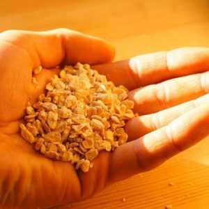 Жмых кедрового ореха