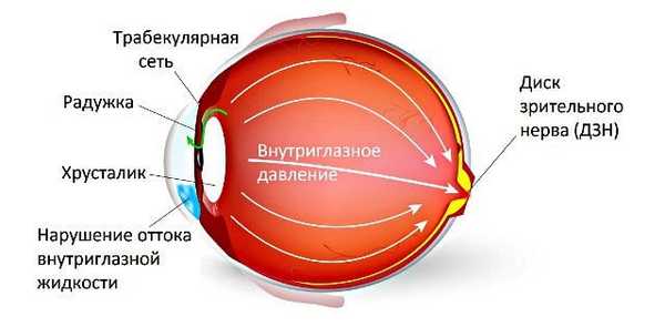 внутриглазное давление