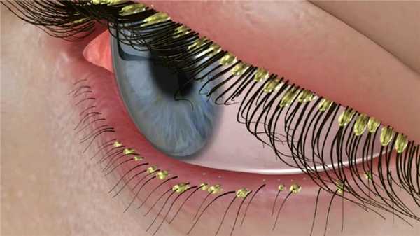 Замена ресниц.jpg