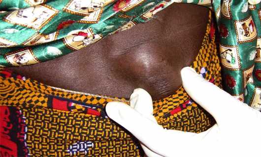 Иллюстрация 4