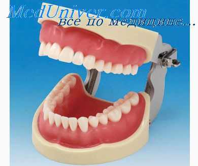 протезное ложе и межальвеолярная высота