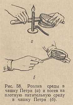 Розлив среды в чашку Петри