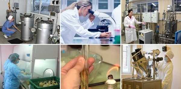 получение бактериальных заквасок и пробиотических БАД