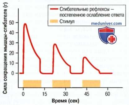 Последействие нервного сигнала. Синоптическое последействие нервного импульса